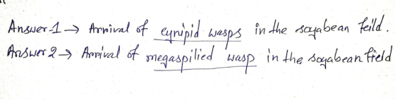 Answer 1 -> Arrival of eynipid wasps in the sojabean Feild. Ariswer 2-> Arrival of megaspilied wasp in the soyabean field