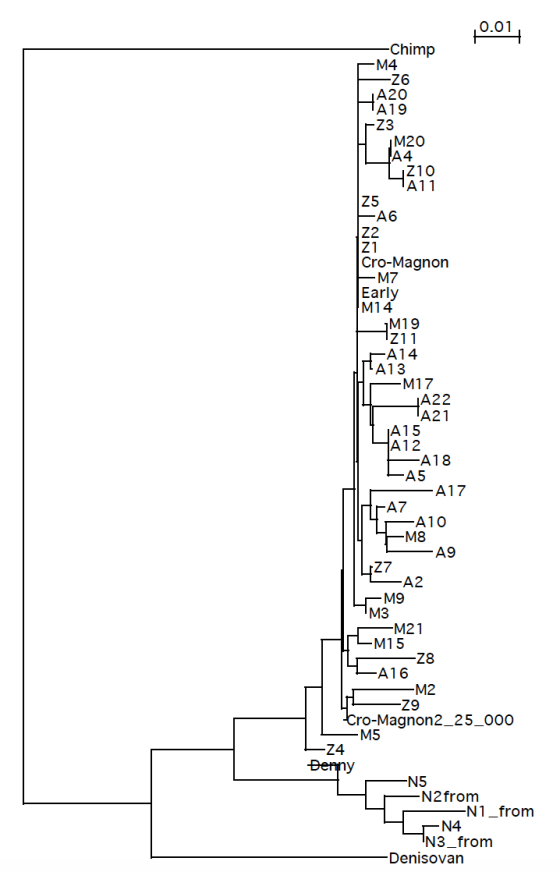 ,0.01 -Chimp -M4 -Z6 A20 TA19 M20 TA4 1A11 75 A6 Z2 Z1 Cro-Magnon -M7 Early M14 jM19 1211 T1A13 -M17 _A22 TA21 1A15 A12 -A18