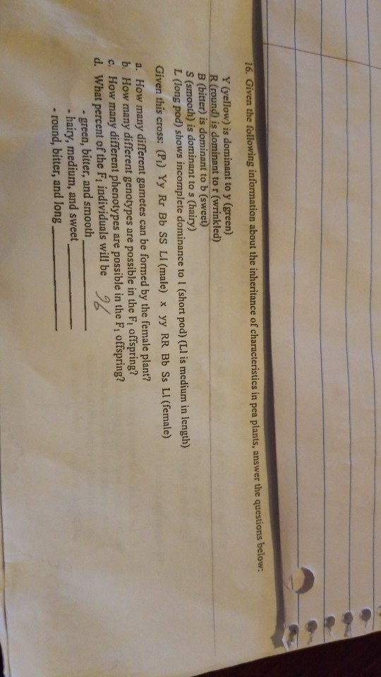 16. Given the following information about the inheritance of characteristics in pea plants, answer the questions below: Y (ye