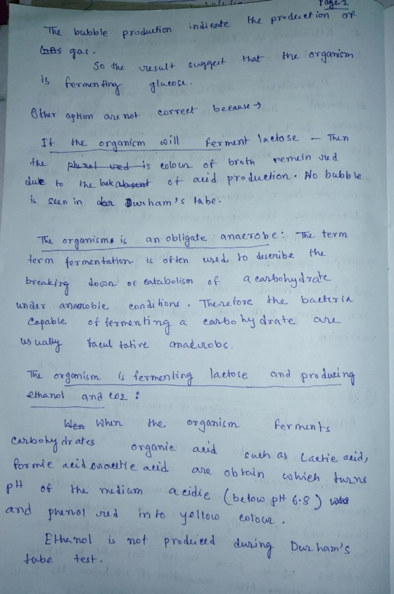Page 2 are indicate the production The bubble production Gas gas. that the organism So the is fermenting result suggent gluco