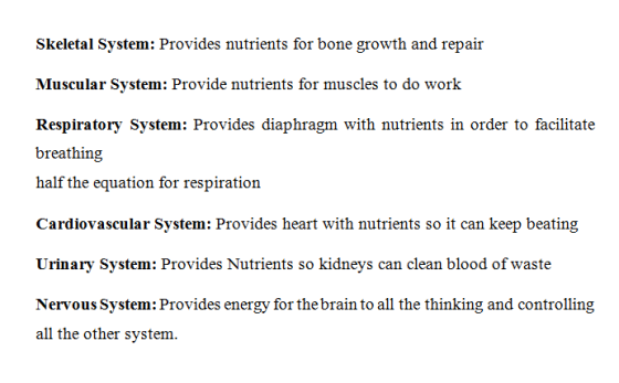 Skeletal System: Provides nutrients for bone growth and repair Muscular System: Provide nutrients for muscles to do work Resp