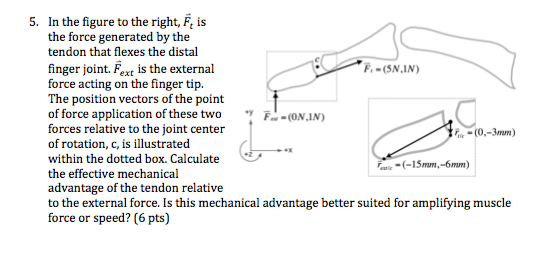 In the figure to the right, F, is the force generated by the tendon that flexes the distal finger joint. Fext is the external force acting on the finger tip. The position vectors of the point of force application of these two ·y F.(0.1N) forces relative to the joint center of rotation, c, is illustrated within the dotted box. Calculate the effective mechanical advantage of the tendon relative to the external force. Is this mechanical advantage better suited for amplifying muscle force or speed? (6 pts) 5. ,-(SN,IN) ie te