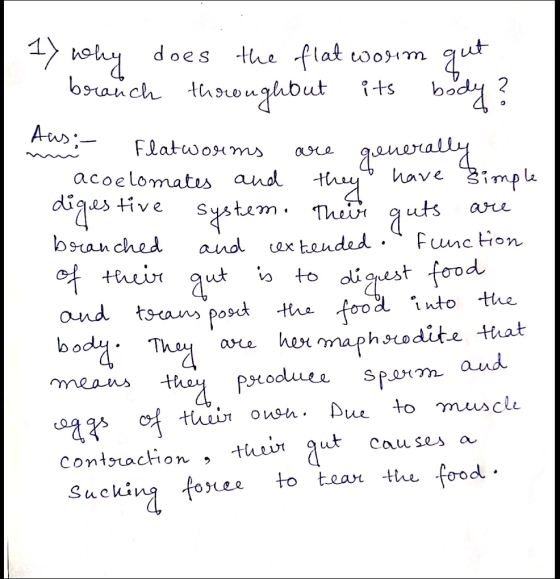 2. are generally 17 why does the flatworm gut branch throughout its body? Flatworms acoelomates and they have imple digestive