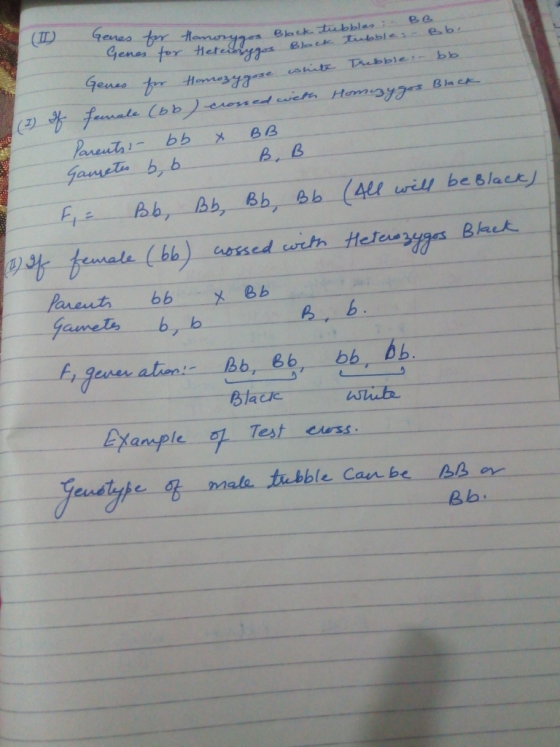 e つ 75 ase ushts T.bbie:-bk 7) Bladc p/e l Test curss euetype male tubble Can be B