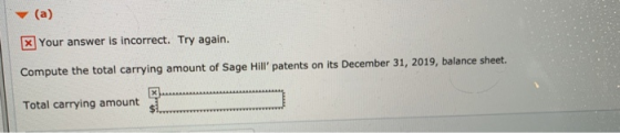 (a) Your answer is incorrect. Try again. Compute the total carrying amount of Sage Hill patents on its December 31, 2019, ba