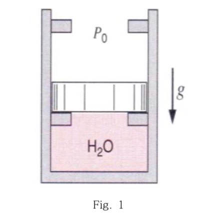 Po 8 H2O Fig. 1