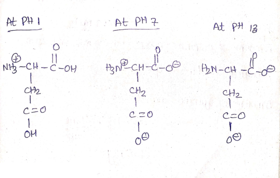 At PHI are At PH 7 At PH 13 N2-CH-C-OH #NECH-C-oo HM-CH-Le Ch2 CH₂ CH2 cro Czo czo OH O