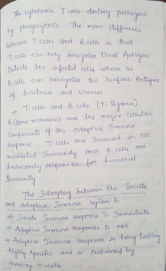 The cytotoxic T cells destroy pathogens I by phagocytosis. The main difference between T cells and B-cells is that T-cells ca