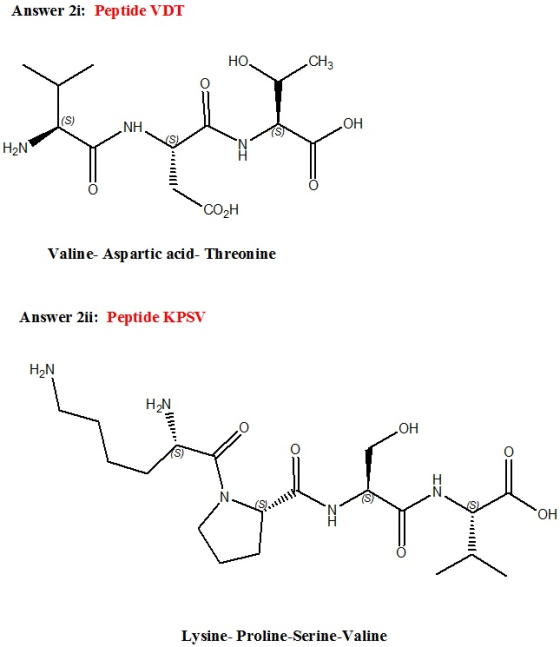 Answer 2i: Peptide VDT HO CH3 OH Нау. COH Valine- Aspartic acid- Threonine Answer 2ii: Peptide KPSV HỌN OH Lysine-Proline-Ser