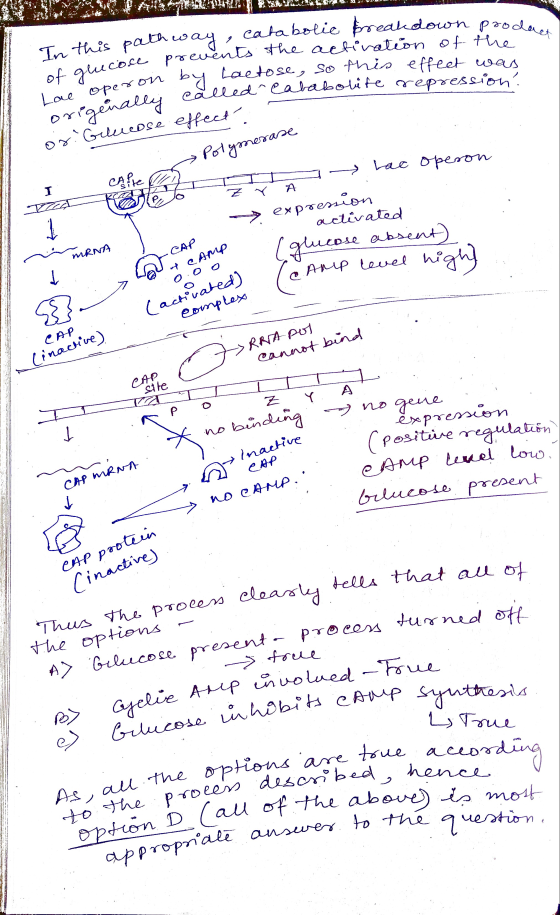 . 4. orodact - studie s this pathway , catabolic breakdown prod icore prevents the activation of the ron by lactose, so this