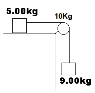 5.00kg 10Kg 9.00kg