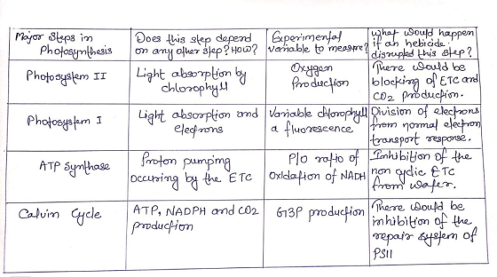 photoshoot to happen Major Steps in Photosynthesis Photosystem II Photosystem I I Does this step depend Experimentos on any o