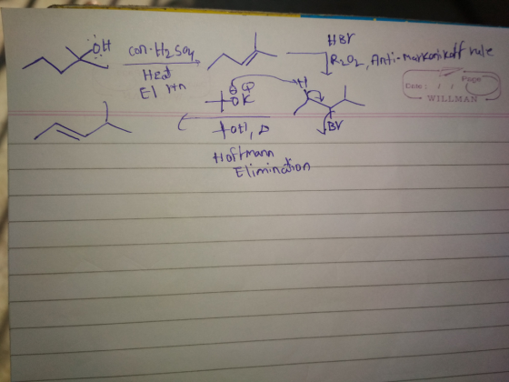 H8r Hed Page ytn Date:II WILLMAN tok ot) TBY