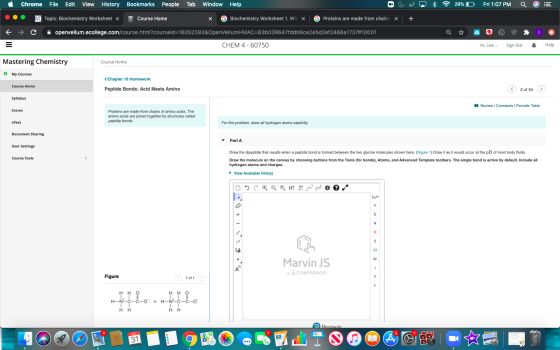 Chrome File Edit View History Bookmarks People Tab Window Help * 29%O Fri 1:07 PM a VC Topic: Biochemistry Worksheet x Course