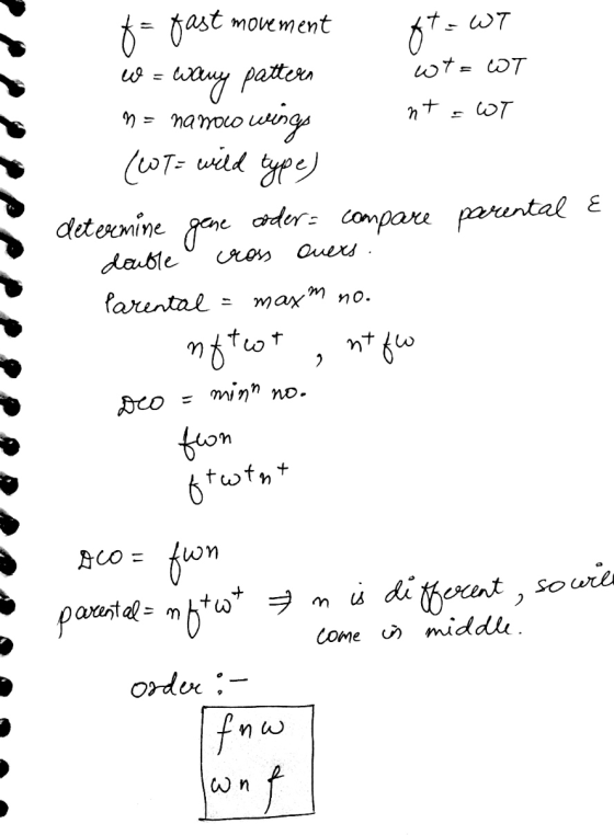 E f= fast movement ft= WT W = wxluy pattern wt= WT n = nanolo wings nt = WT (coT= wild type) determine gene ooder compare par