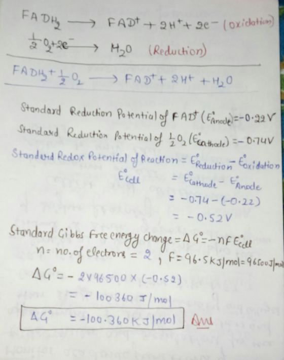 FADH + 1 FADT+ 2H+ +H₂O FADHy > FADT + 2H+ + 2e - (oxidation → 4₂0 (Reduction) Standard Reduction Potential of Fact (Eanode)=