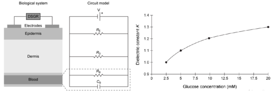 Biological system Circuit model 1.4 DSGR Electrodes Epidermis x1.3 RE Rp Dermis O 1.0 0.9 Blood 2.5 7.5 10 12.5 15 17.5 20 CB Glucose concentration (mM)