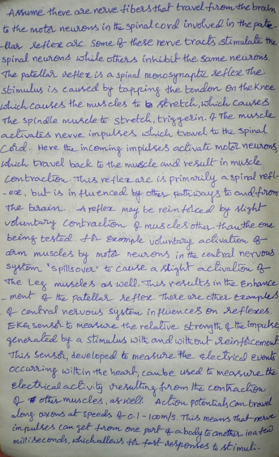 Assume theve are rewe tibersthat travel -frem the brein t the n ut孔neus evs in tespinal cord involve in the Phe las Reftere o