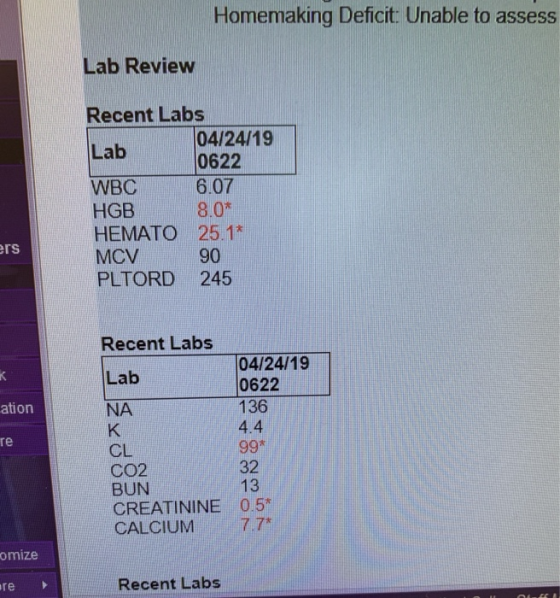 Homemaking Deficit: Unable to assess Lab Review Recent Labs 04/24/19 0622 6.07 8.0 Lab WBC HGB HEMATO 25.1 MCV PLTORD 245 rs