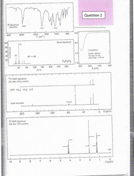 Wh Question 2 IR Spectrum quid 2954 1741 1200 3000 0.0 800 4000 2000 1600 V (cm) 100 Mass Spectrum 0.5 80 1.01 of base pe YTT