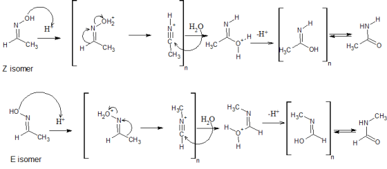 он HN Нас CH3 Z isomer H2C CH HN CH3 HO E isomer