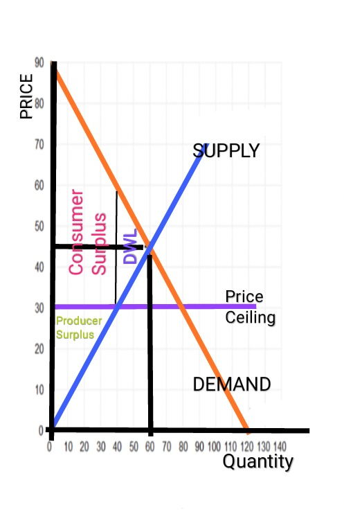 PRICE SUPPLY Consumer Surplus DWL Price Producer Surplus Ceiling DEMAND 0 10 20 30 40 50 60 70 80 90 100 110 120 130 140 Quan