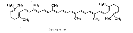 H3CO CH3 CH3 Lycopene