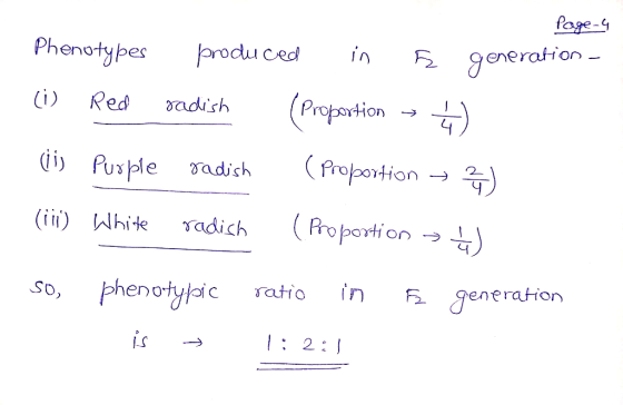 Page 4 generation - Phenotypes produced in Ğ (i) Red radish (Proportion ~ ♡ ciis Purple radish (Proportion → (iii) White radi