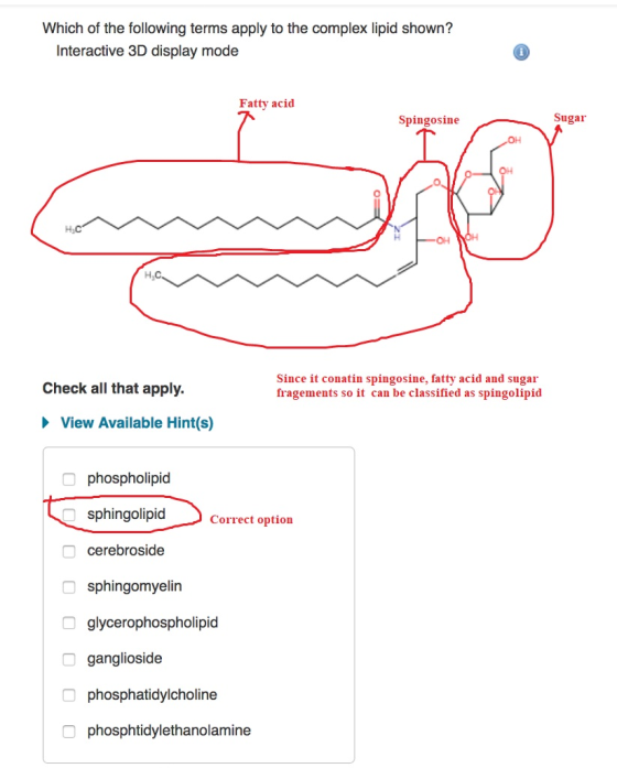 Which of the following terms apply to the complex lipid shown? Interactive 3D display mode Fatty acid Sugar Spingosine он Sin
