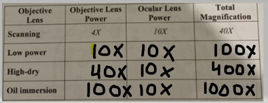 Objective Lens Scanning Objective Lens Power Ocular Lens Power 10X Total Magnification 40x Low power High-dry lox 10 x 40X 10