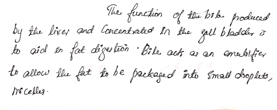 of the bile bladder The function produced by the licer and Concentrated in the gall to aid es fat digestion Bile acts as an e