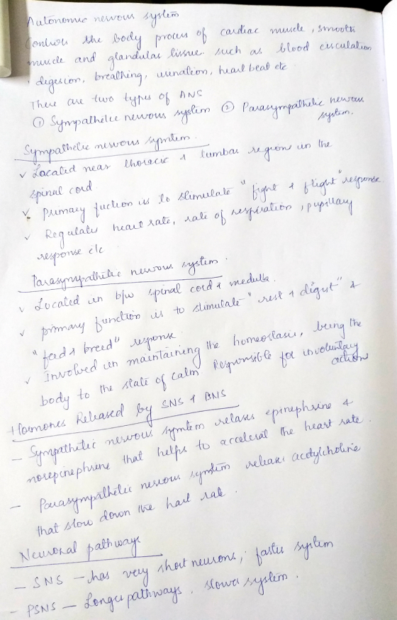 Autonomic newous system Contoh the body process of cardiac muscle, smooth muscle and glandulas lissue such as blood cuculatio