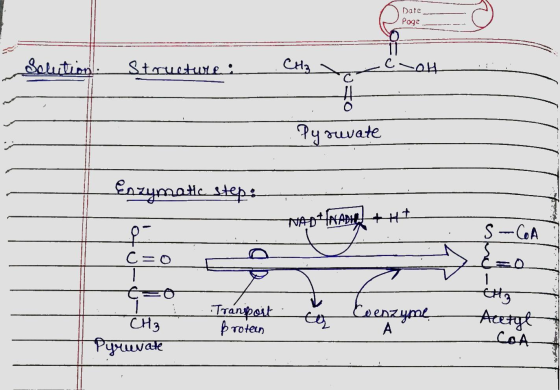 Date Poze Solution. Structure: CHA Соң Pyruvate Enzymate step: NADHNADH + H S-COA q C=0 &o 1 1 c=0 Transport proteen th3 Acet