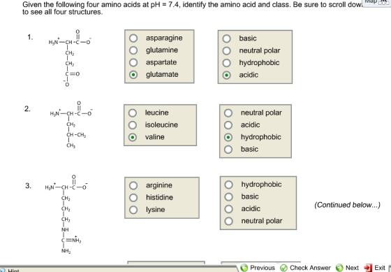 Given the following four amino acids at pH 7.4, identify the amino acid and class. Be sure to scroll dow to see all four structures. basic asparagine H3N CH-C O neutral polar glutamine CH O hydrophobic O aspartate CH O glutamate O acidic CEO O neutral polar leucine H3N-CH -C-O isoleucine acidic CH CH O hydrophobic Valine basic O hydrophobic arginine CH -C O histidine basic CH (Continued below...) O acidic CH lysine CH2 O neutral polar NH NH NH Previous Check Answer E Next Exit t Hint