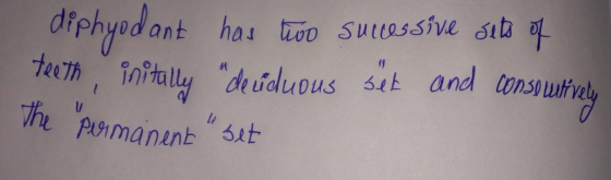 diphyod ant has two successive sets of teeth initally deciduous set and consecutively the permanent set