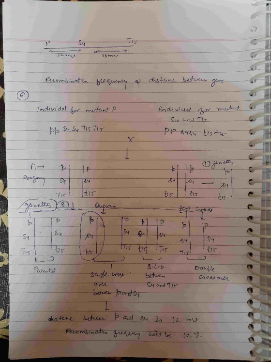 72 mu Tomu Recombination frequency o distane between gone. individal for mutant P indiviuel for me . Su and I po busy tits po