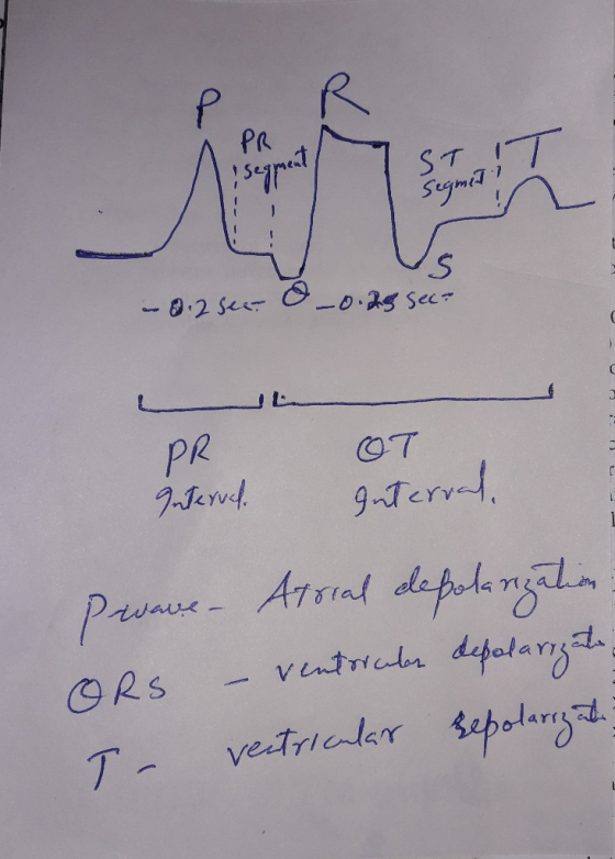 Segmen - 9.2 sec 0 -0.25 sec? PR OT Interval Interval Piave - Atrial depolarization ORS – ventorulan depolarizato I ventricul