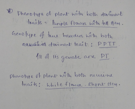 Phenotypa plant, hath both dono n arb OMina notype dチ trul bnai durt. Woth both omi na fu 여 1t3 gamale are PT inotypl plant,