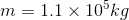 771-1.1 × 105kg