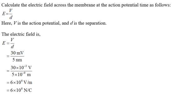 Calculate the electric field across the membrane at the action potential time as follows: V E=- d Here, Vis the action potent