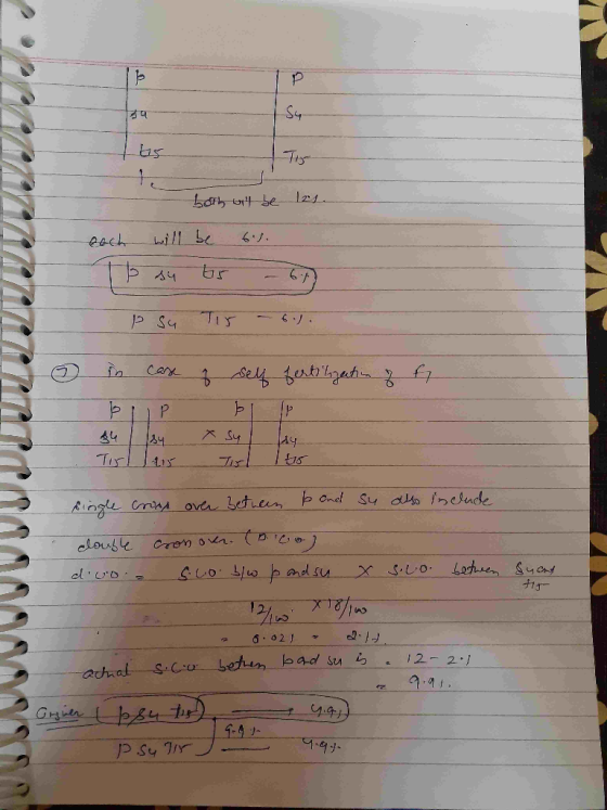both will be lis. each will be 6%. To su bs - 67 p su Tir 6.). in case of self fertilization of fi 34 Ls x sy . Tirllur Tirl