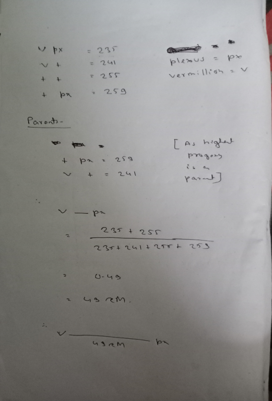 NpX = 235 = 241 ? 255 plexus = px vermillion av + + + + pa 2 259 Parents - [ As highet progozy + pa a 250 + = 241 parent р 23