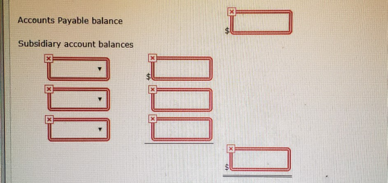 Accounts Payable balance Subsidiary account balances SES