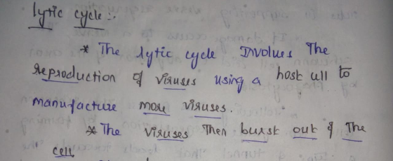 lytic cycle * The lytic cycle Divolues The reproduction of viruses using a host host ull to manufacture more viguses. & The v