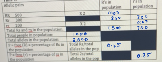 Allelic pairs rsin population Rs in population 1000 300 X2 X2 300 400 100 RR 500 Rr 300 IT 200 Total Rs and rs in the popula