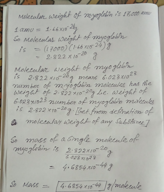 21 . ) Molecular weight of myoglobin is 17,000 am 1 amu= 1.66x1024 So Moleculas Weight of myoglobin is = (17000) (1.66x1024)