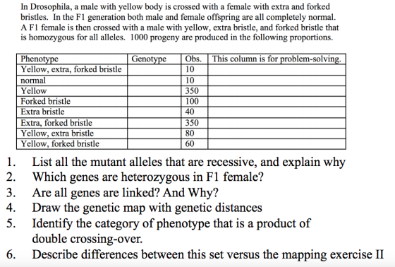 In Drosophila, a male with yellow body is crossed with a female with extra and forked bristles. In the Fl generation both mal