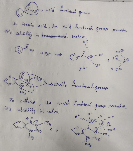 12 oférovts acid functional group In benzoic acid, the acid functional its solubility in benzoje acid. water group promote f