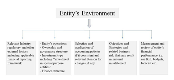 Entitys Environment Relevant Industry, regulatory and other external factors including applicable financial reporting framew