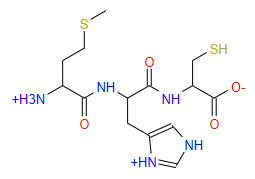 S SH NH 0- +H3N NH NH +HNV